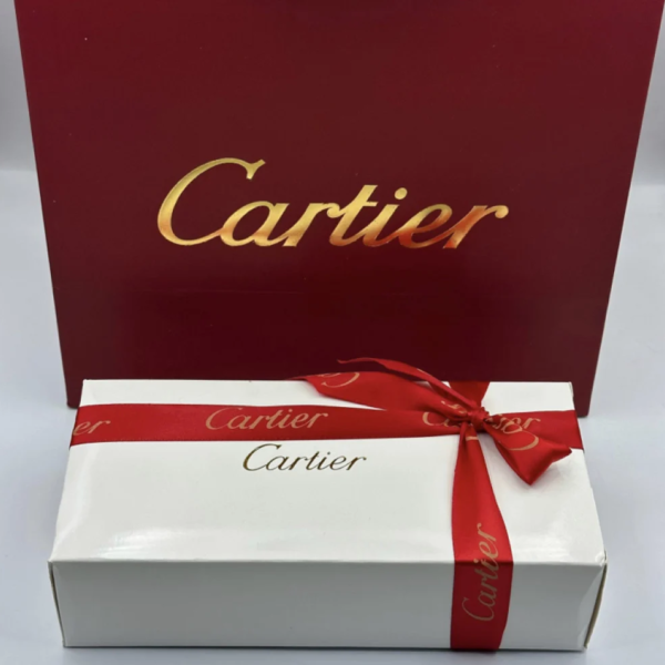 ملحقات اقلام كارتير